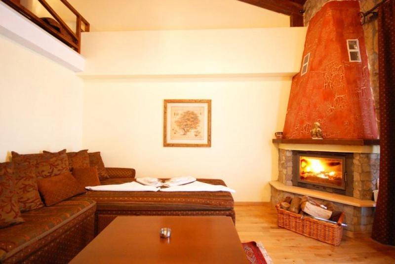 Vasilitsa Spa Resort Grevená Chambre photo