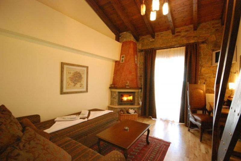 Vasilitsa Spa Resort Grevená Chambre photo