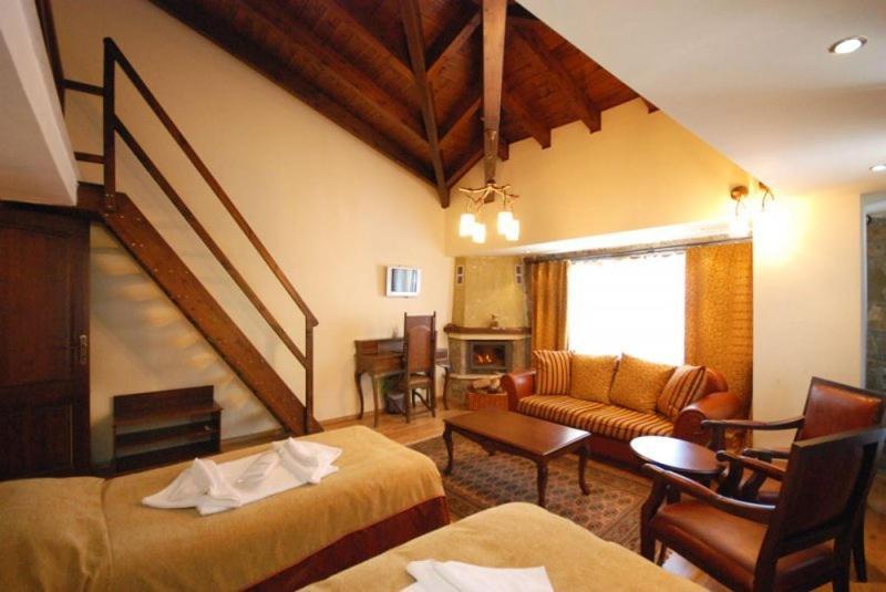 Vasilitsa Spa Resort Grevená Chambre photo