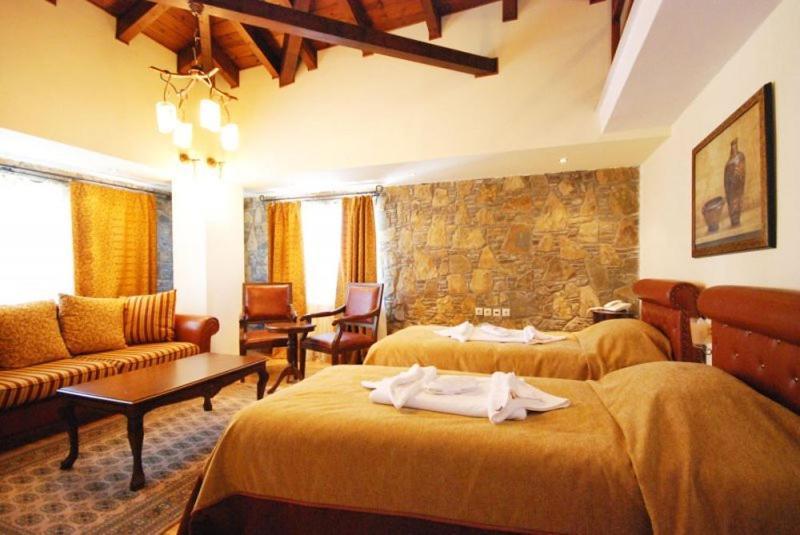 Vasilitsa Spa Resort Grevená Chambre photo